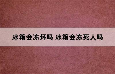 冰箱会冻坏吗 冰箱会冻死人吗